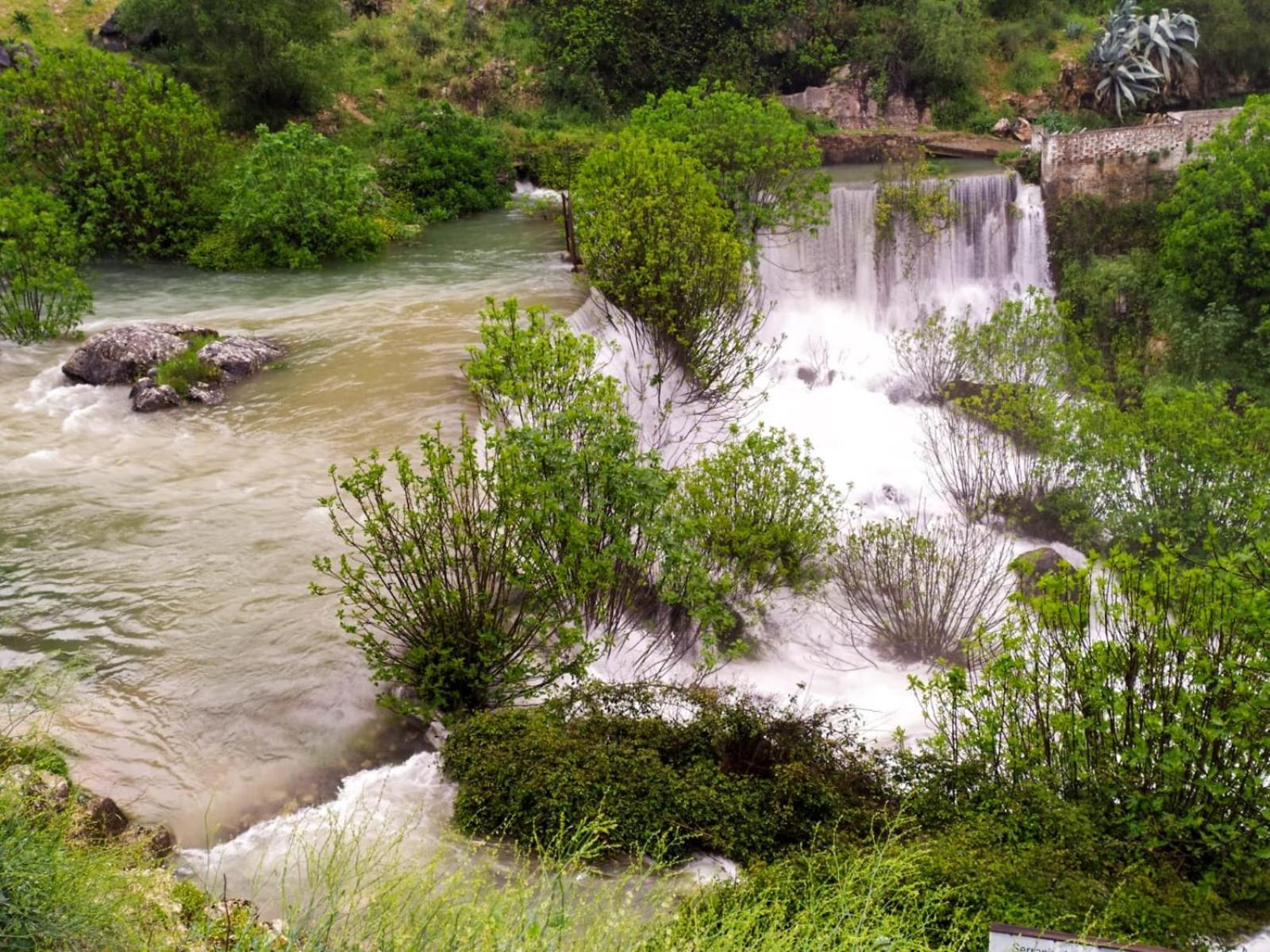 La Escapadita Benaoján Kültér fotó